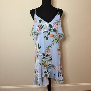 NWT Parker Blue Pink Green Daphne Floral Ruffle Shoulder Dress